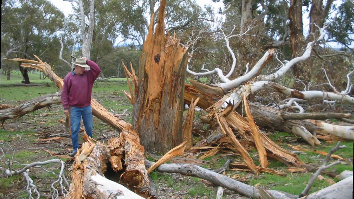 o familie aflata la picninc martora la un incident teribil un barbat a fost lovit de trasnet e o