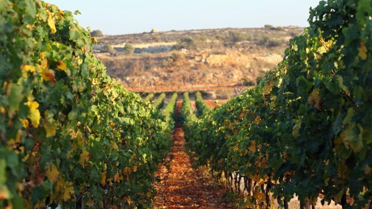 agroturism plimbari si sporturi acvatice in marsalforn