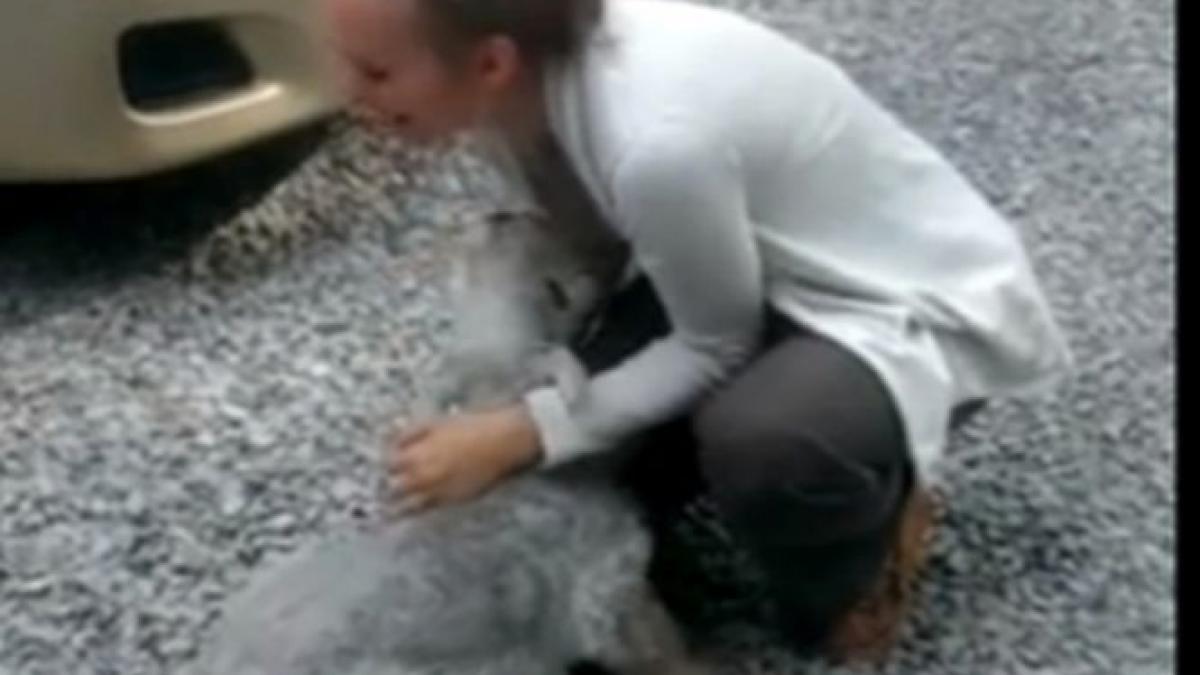 ai zambit azi vezi clipul care iti va face ziua mai frumoasa