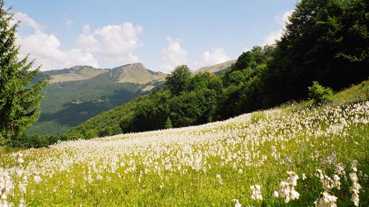cum am ajuns sa distrugem aceste miracole ale naturii schimbari drastice in inima muntilor din