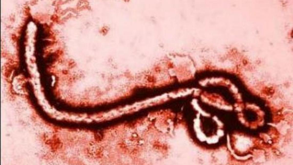 stare de urgenta in sierra leone din cauza epidemiei de ebola