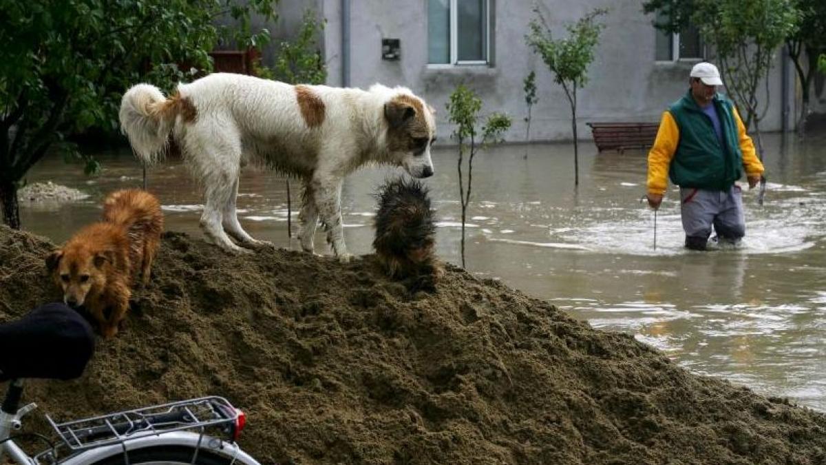 pericolul de inundatii nu a trecut codul rosu este in vigoare pana sambata la 16 00