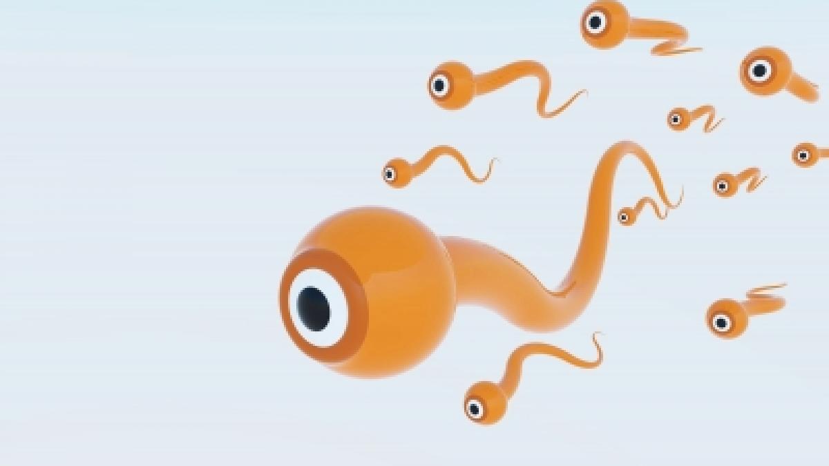 pot sa raman gravida daca cele 8 intrebari care framanta femeile