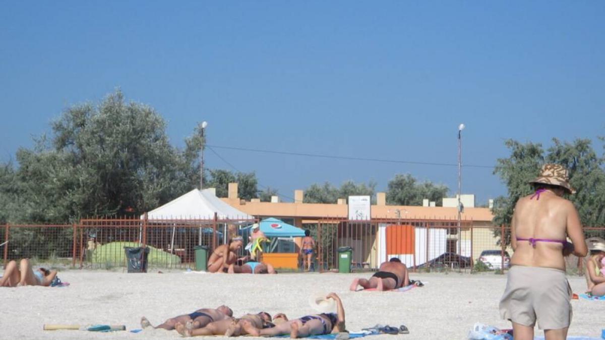 aparitie neasteptata la malul marii la mamaia turistilor nu le a venit sa creada cine se aseaza