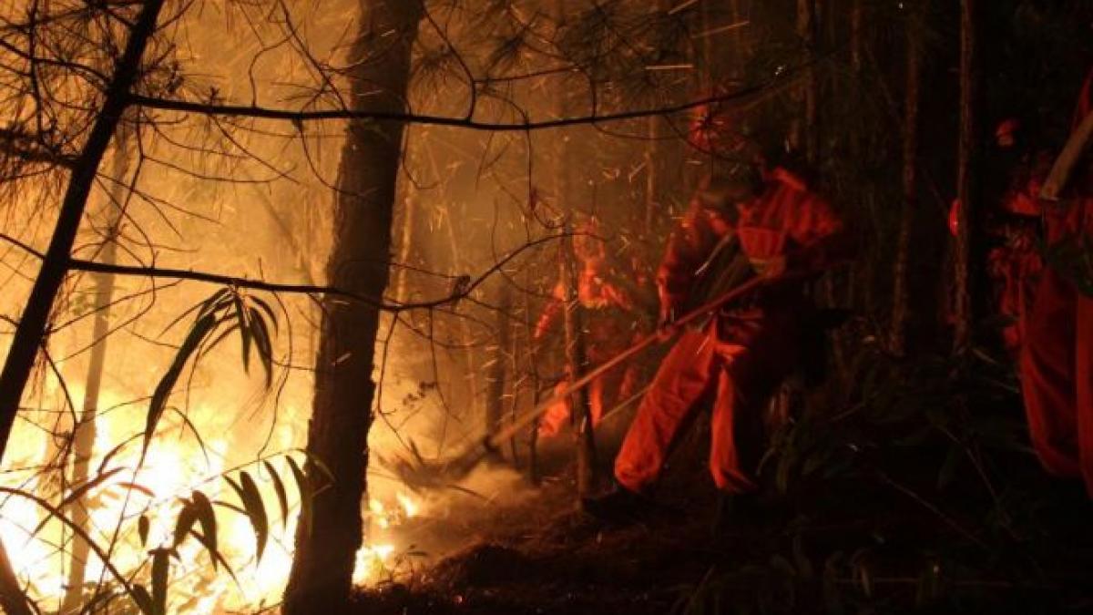 stare de alerta un incendiu masiv de vegetatie a izbucnit in suedia