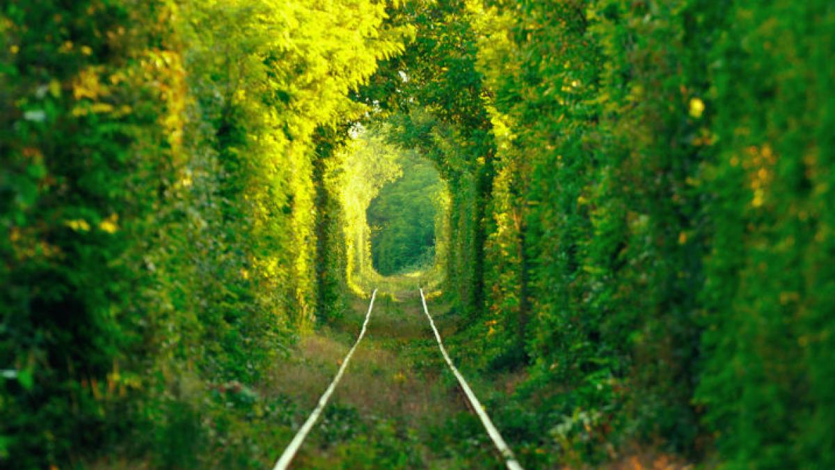 tunelul iubirii din romania locul care i a fermecat pe straini este in topul comorilor ascunse din