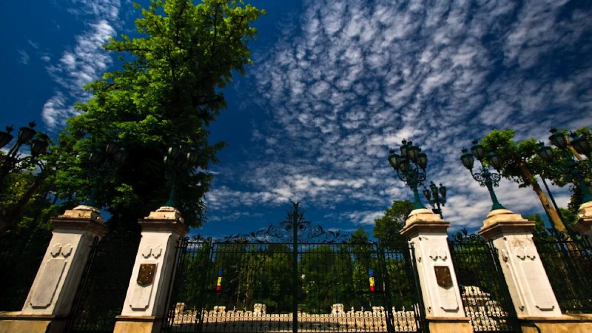 sindicatul cadrelor militare disponibilizate participa la plimbarea din jurul palatului cotroceni