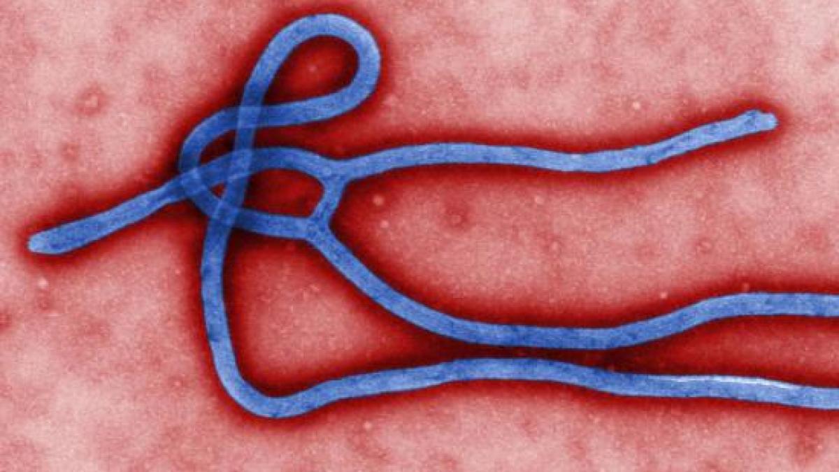 barbat suspectat de ebola in romania