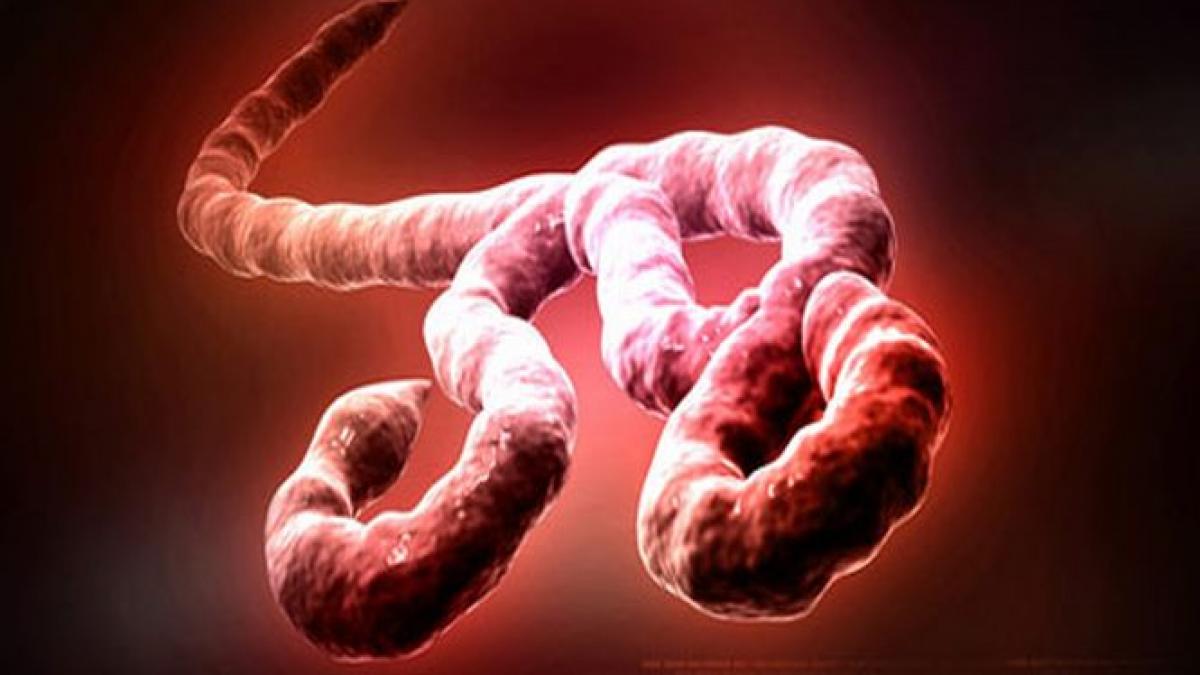 germania un barbat este internat in spital fiind suspectat de ebola