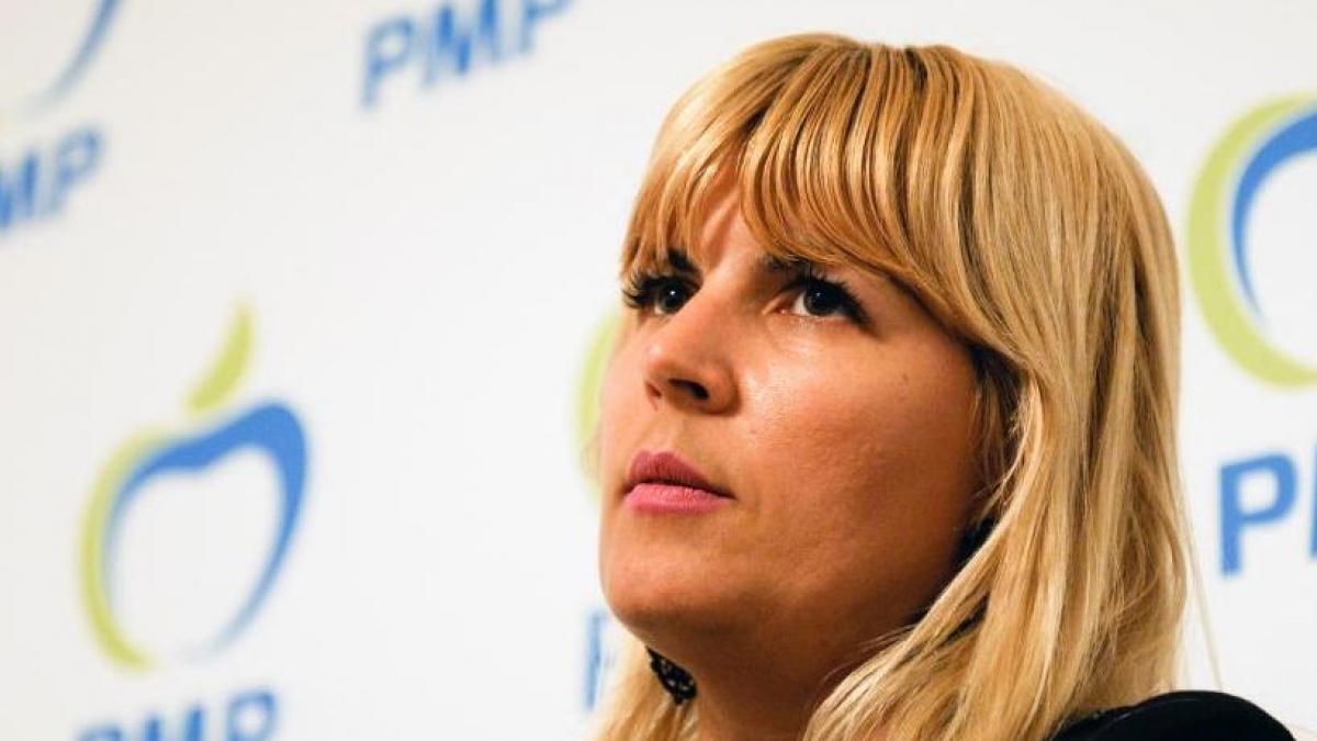 elena udrea atacata dur de un fost coleg este toxica un junk food cancerigen