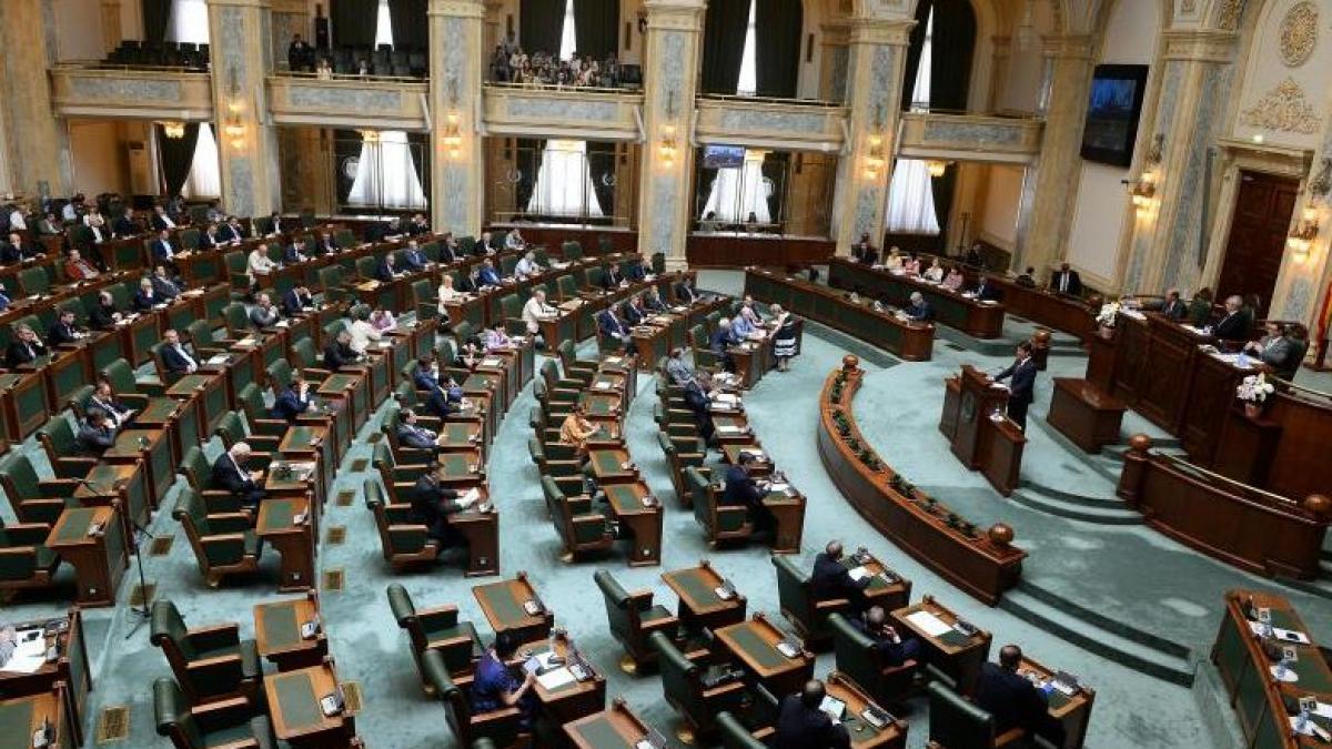 sesiune extraordinara in parlament pentru dezbaterea reducerii cas