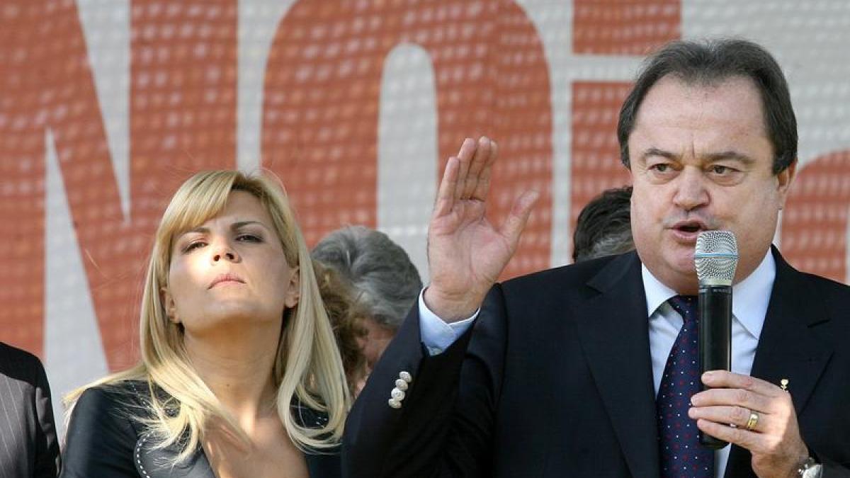 deziluzia optica pisicuta si buldogul