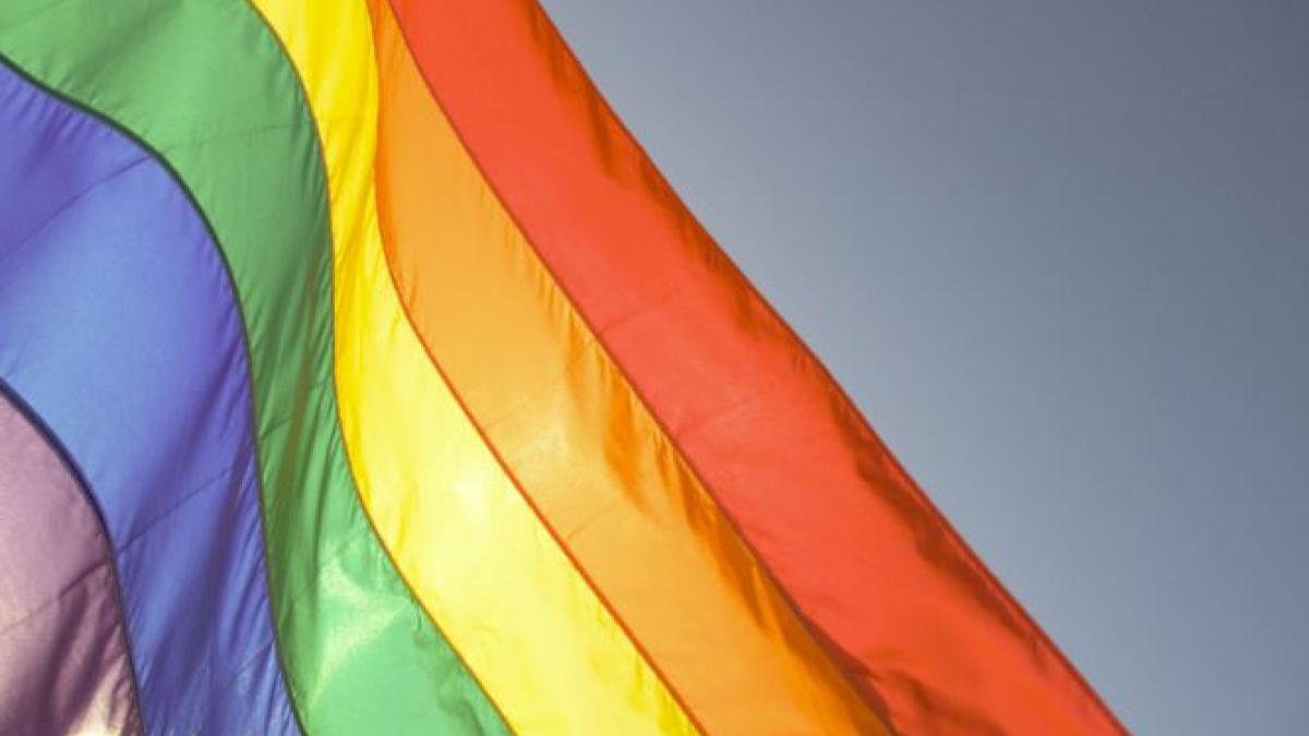 spune ca homosexualii sunt vinovati pentru deficitul bugetar al spaniei senatoarea a fost invitata