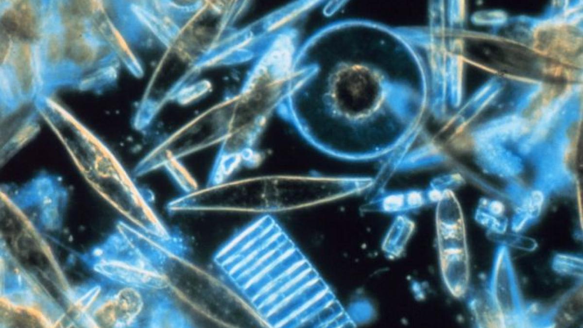 descoperirea inedita facuta de astronautii rusi la exteriorul statiei spatiale internationale