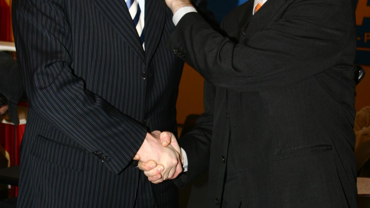 deziluzia optica intoarcerea finului ratacitor