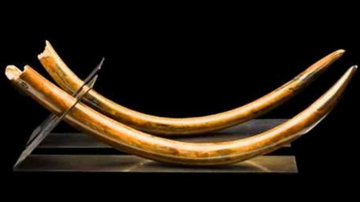 descoperire de exceptie pe malul raului ialomita e visul oricarui arheolog