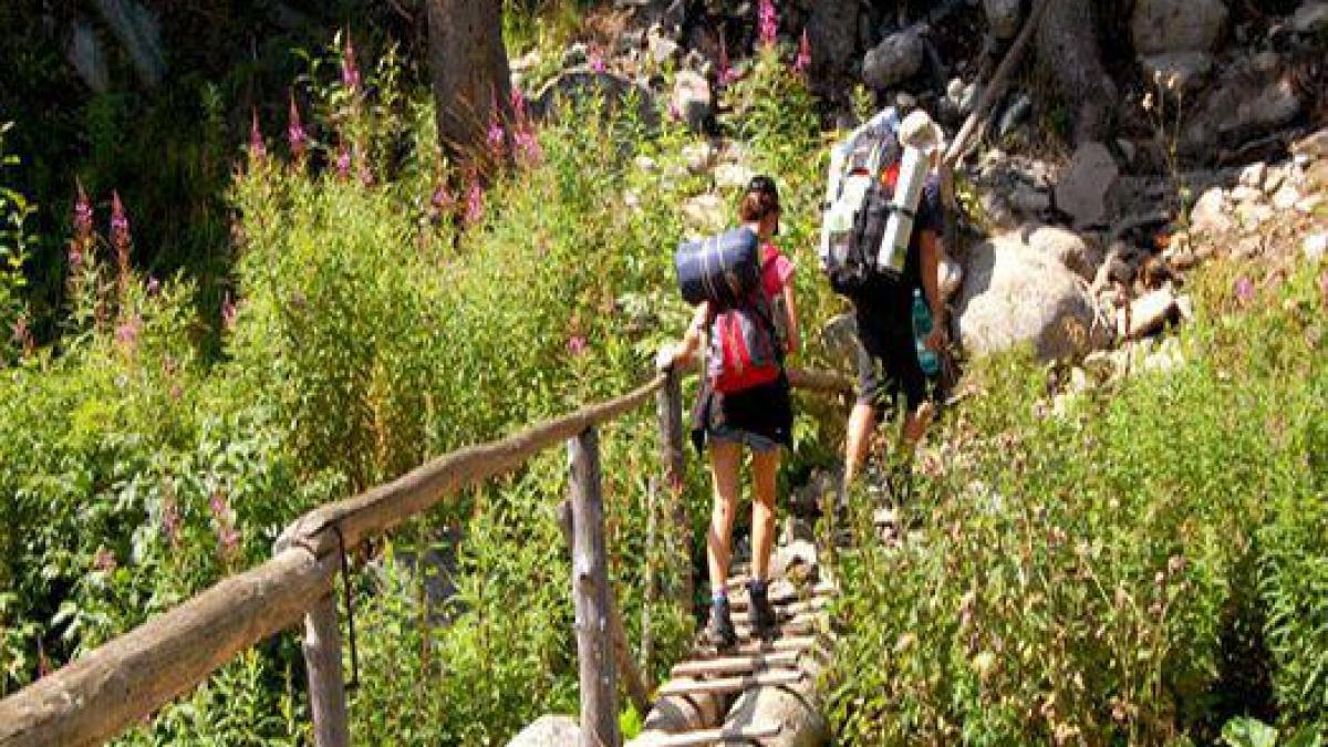 adolescenta de 14 ani care a disparut in masivul retezat este cautata fara niciun rezultat