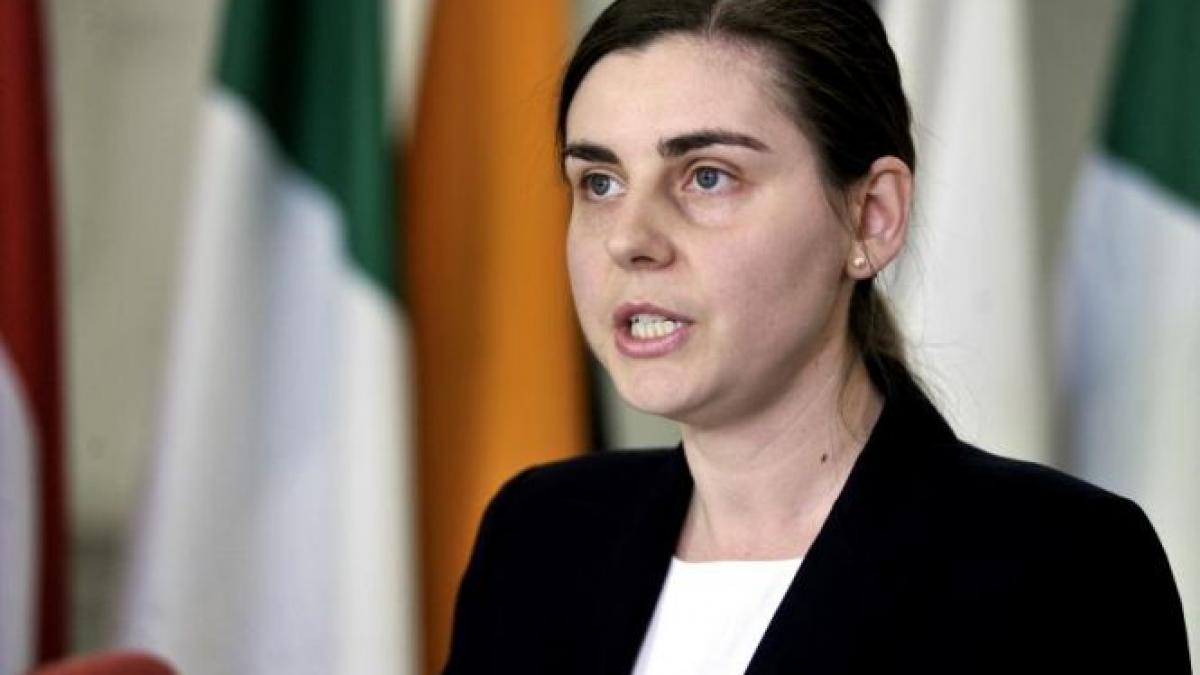 ioana petrescu m a deranjat ca proiectul de reducere a cas a devenit o polemica politica