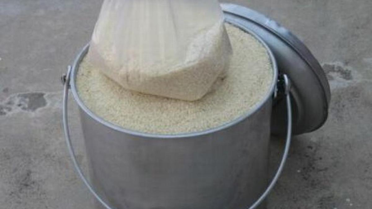 salvam apa si ii hranim pe cei flamanzi dupa ice bucket challenge urmeaza provocarea galetii cu orez