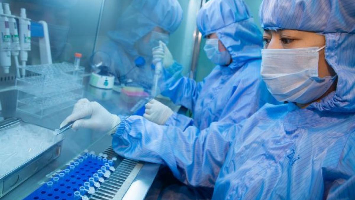 au fost depistate mai multe tipuri ale virusului ebola expert german ar putea fi o tulpina diferita