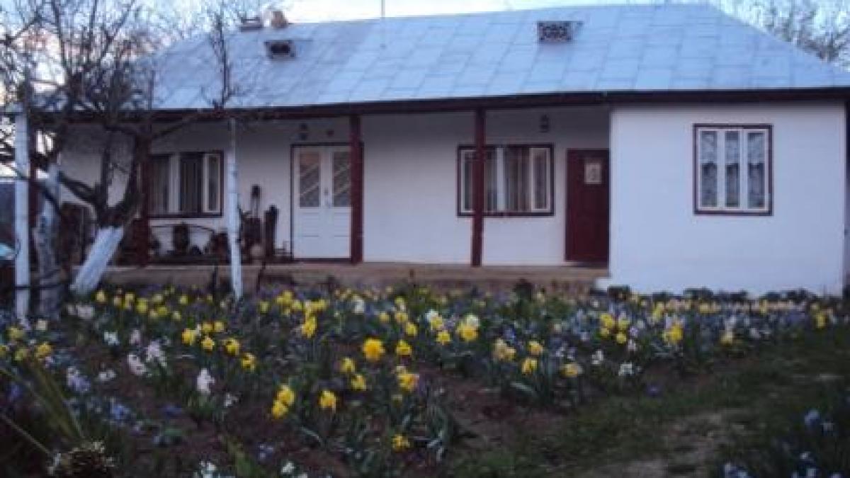 pentru o romanie mai buna o localnica din vrancea a realizat ceea ce autoritatile au esuat a