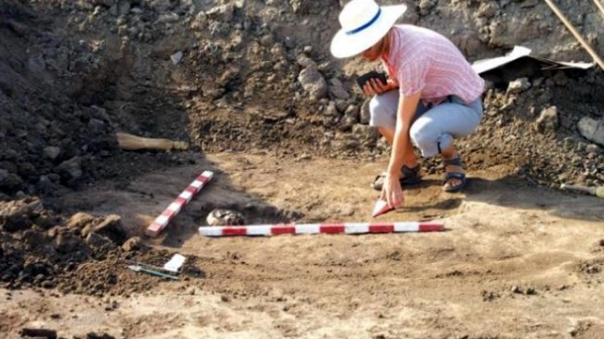 descoperire de importanta mondiala in dambovita este veche de 20 000 de ani dar este intacta