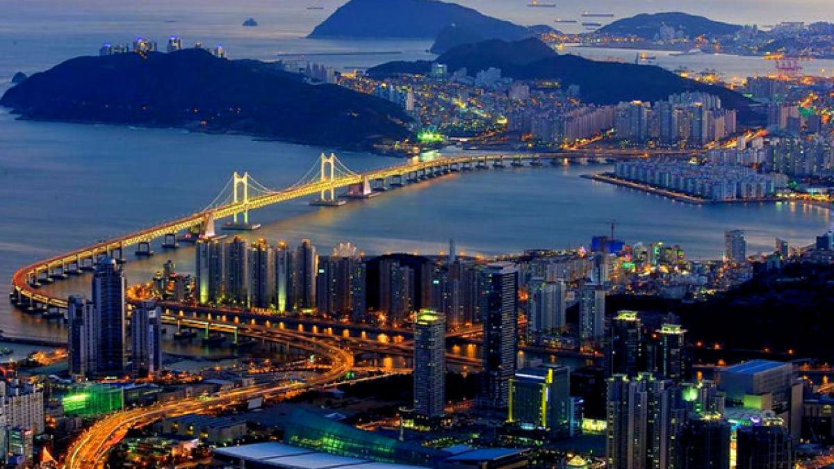 o tara infloritoare va disparea de pe terra am ajuns sa cumparam mai multe scutece pentru batrani