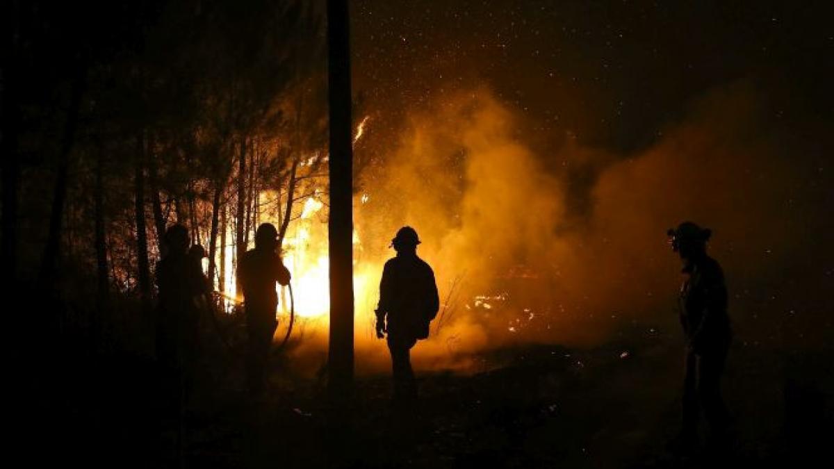 peste 24 de ore de lupta cu focurile centrul portugaliei devastat de incendii galerie foto