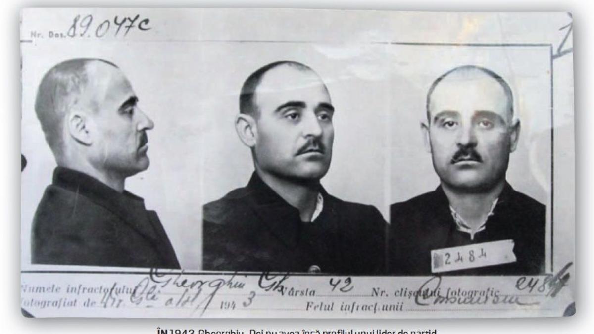 primele ore de libertate ale lui dej intr un boschet mai mare din parc