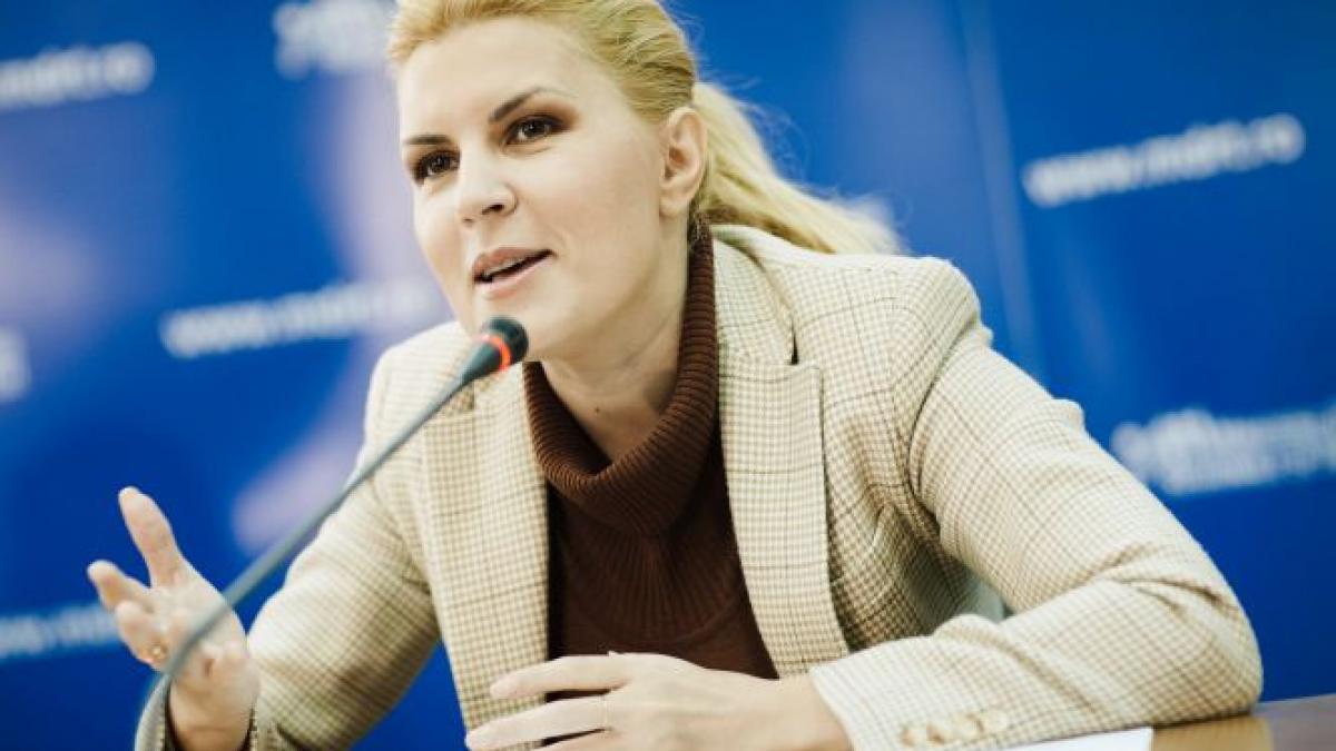 udrea a cucerit un partid cu traditie cine o va sustine pe sefa pmp la prezidentiale