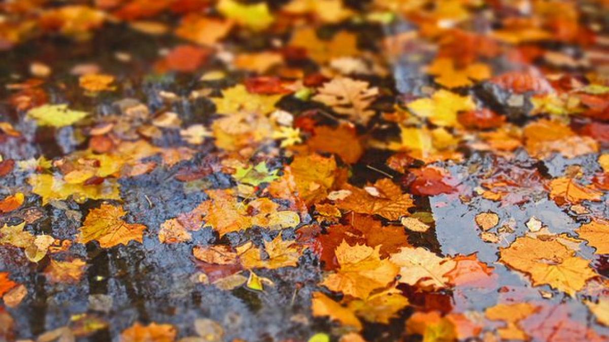 cum va fi vremea in urmatoarele doua saptamani vezi cat de cald va fi si cat va ploua in fiecare