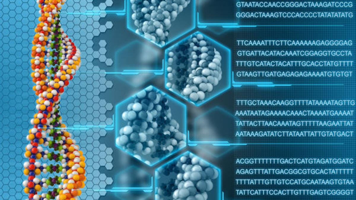 joaca de a dumnezeu a cercetatorilor americani studiaza in secret 17 copii conceputi in eprubeta