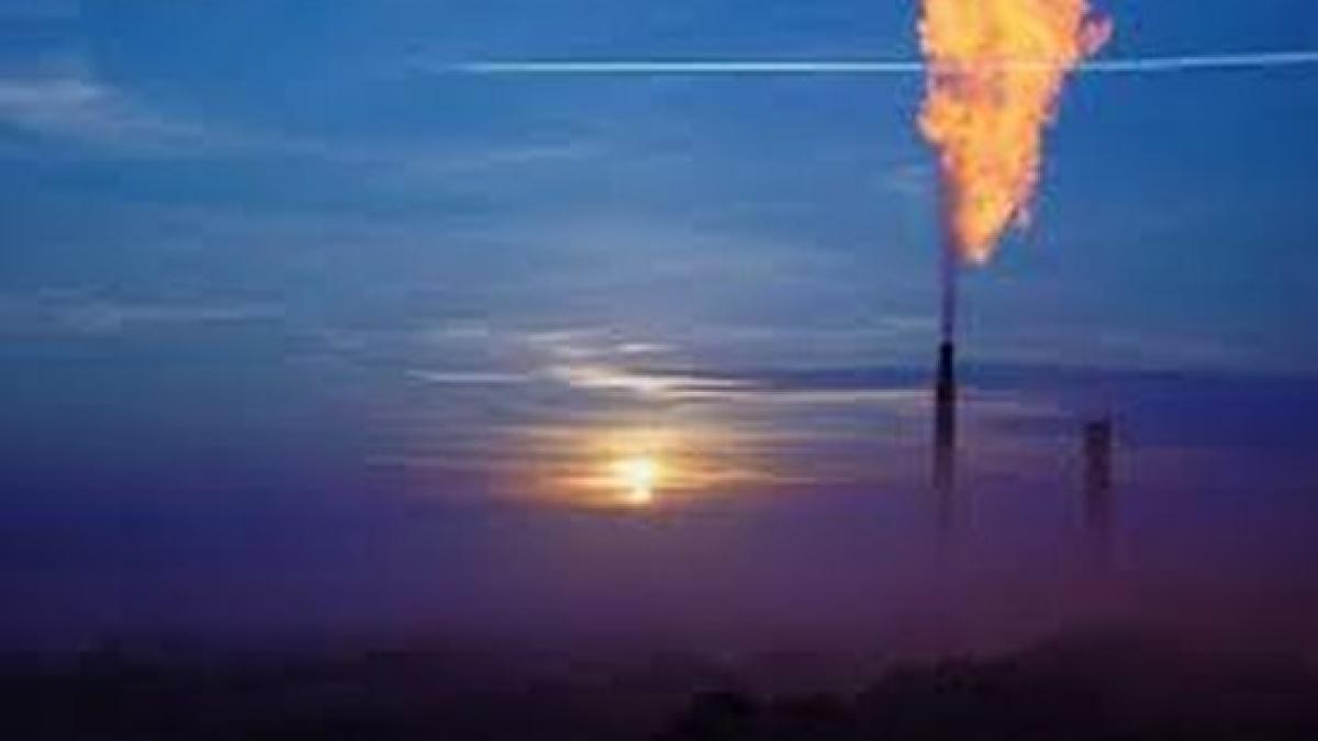 ue ar putea interzice exporturile de gaze si sa limiteze consumul industrial