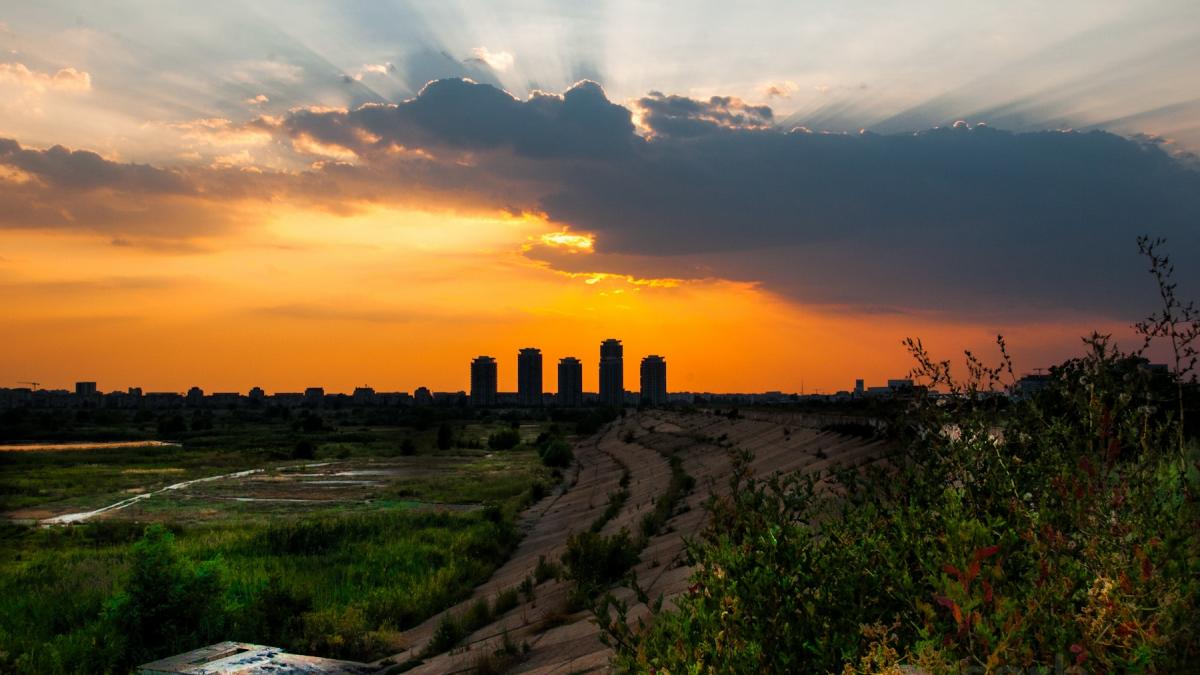 paradisul din inima bucurestiului mistuit de flacari delta vacaresti facuta scrum de un incendiu de