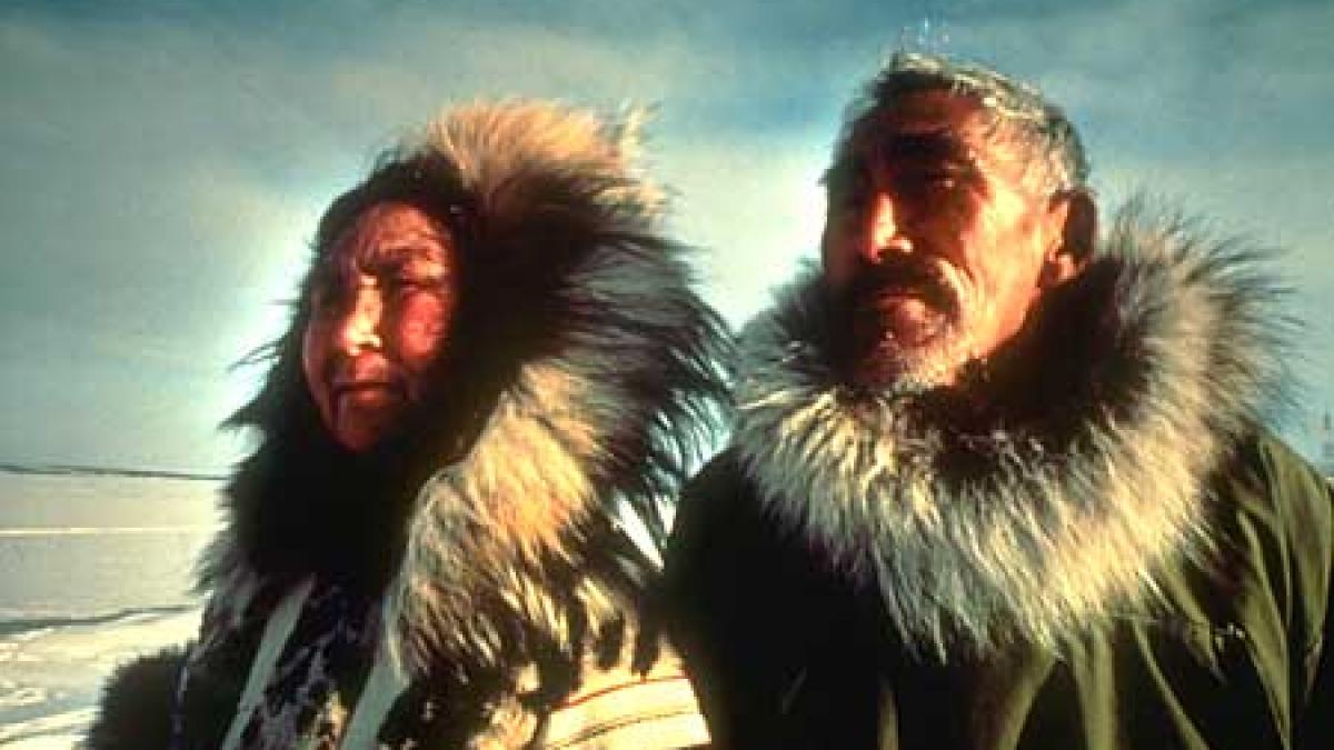 de ce dispar pentru totdeauna unele limbi ale lumii motivul este surprinzator