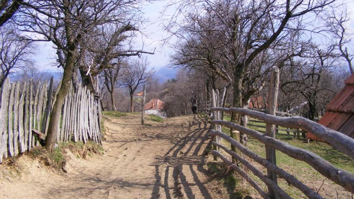 umilinta maxima pentru un barbat din gorj a fost legat si tarat prin sat chiar de nepotul sau