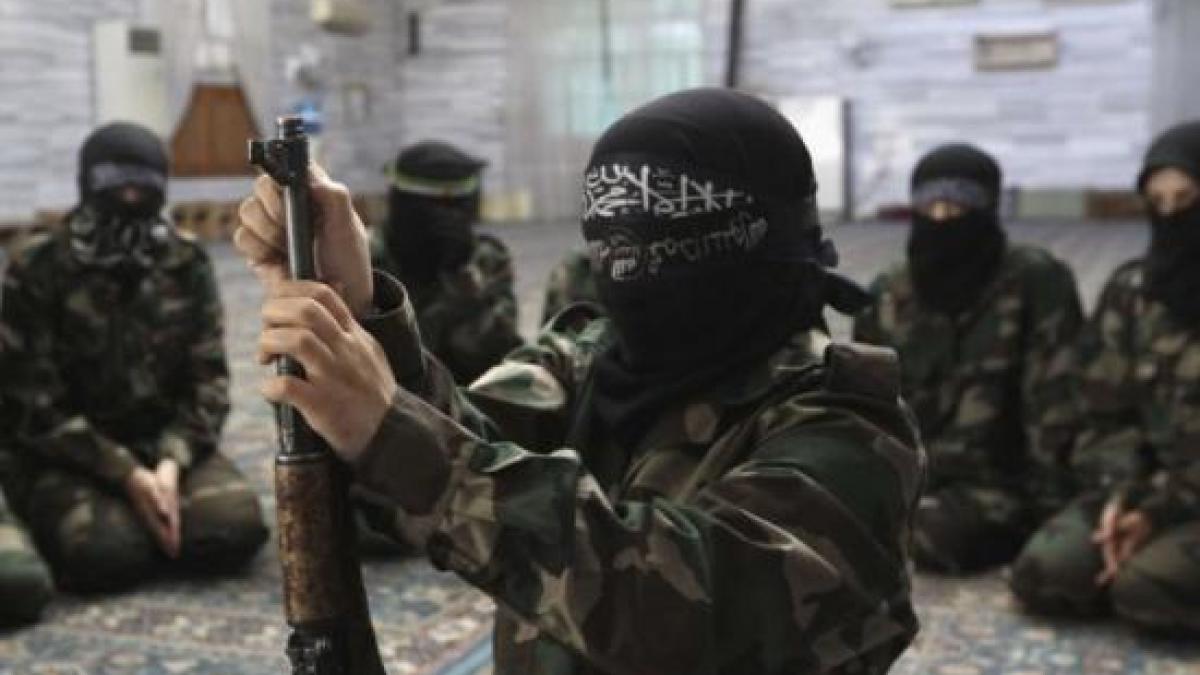 sua indeamna la summitul nato la formarea rapida a unei coalitii pentru distrugerea statului islamic