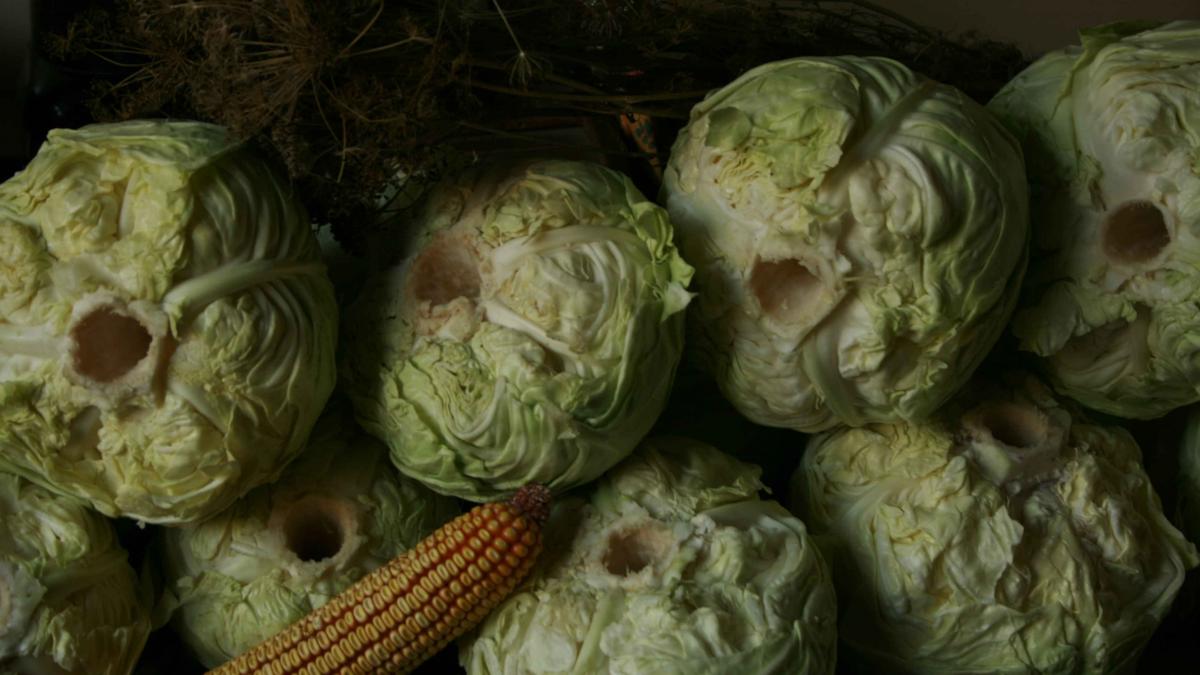 ce se intampla in organismul tau atunci cand consumi varza murata contine substante anticancerigene