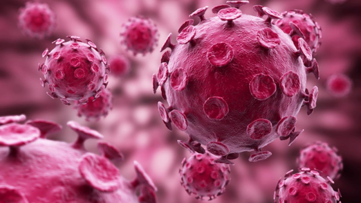 un virus puternic ia in stapanire sua ce se intampla in cazul copiilor dusi la spital era alb ca o