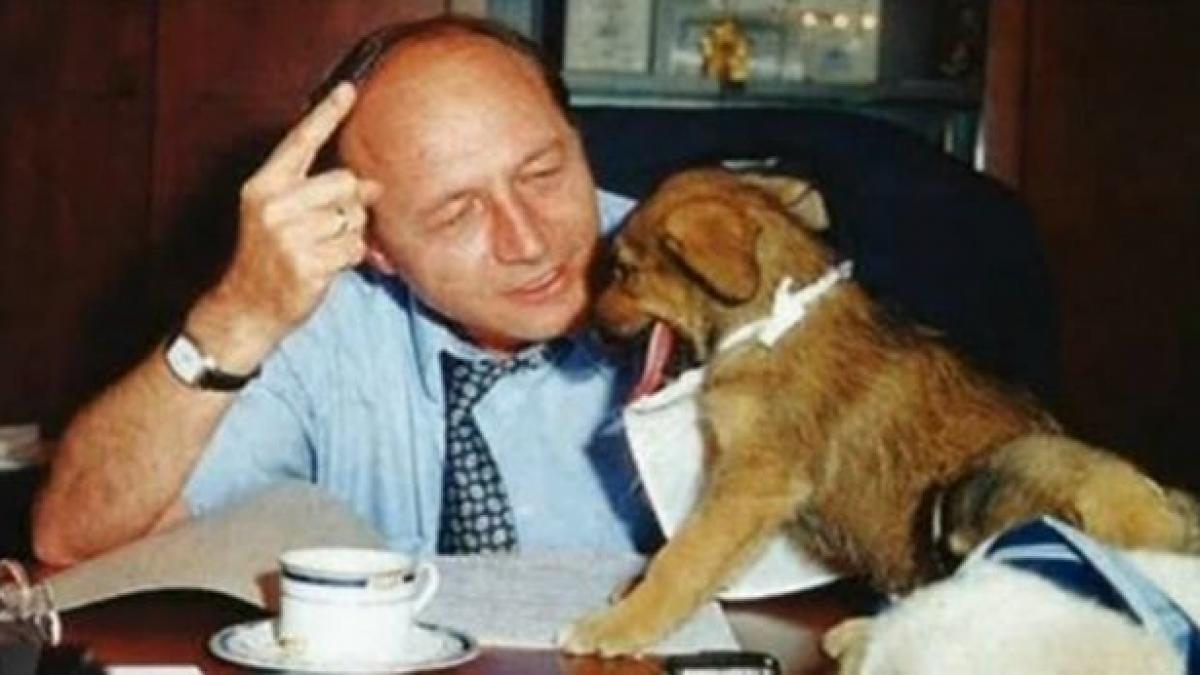 deziluzia optica catelusul chior