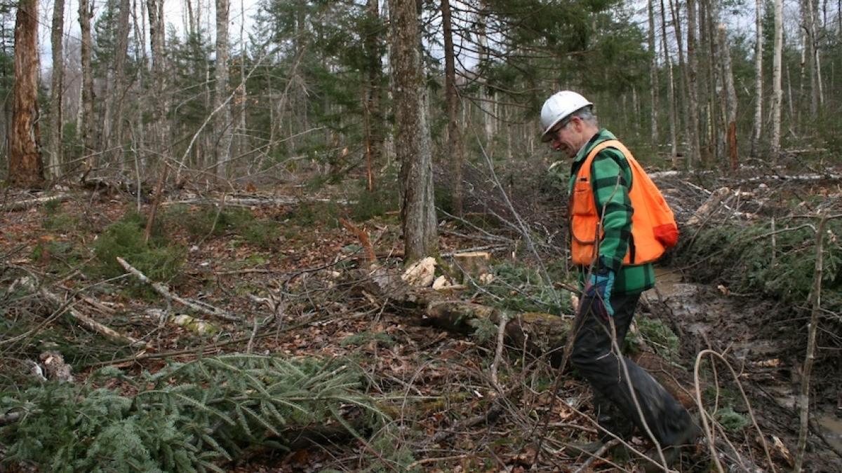 afla care sunt cele mai periculoase meserii