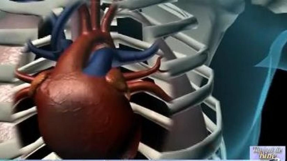 numai de bine sport din toata inima