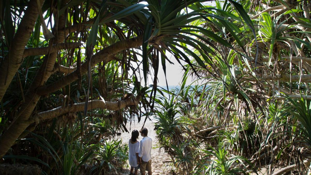maestrii cannes ului in premiera la bucuresti de la david cronenberg la fratii dardenne