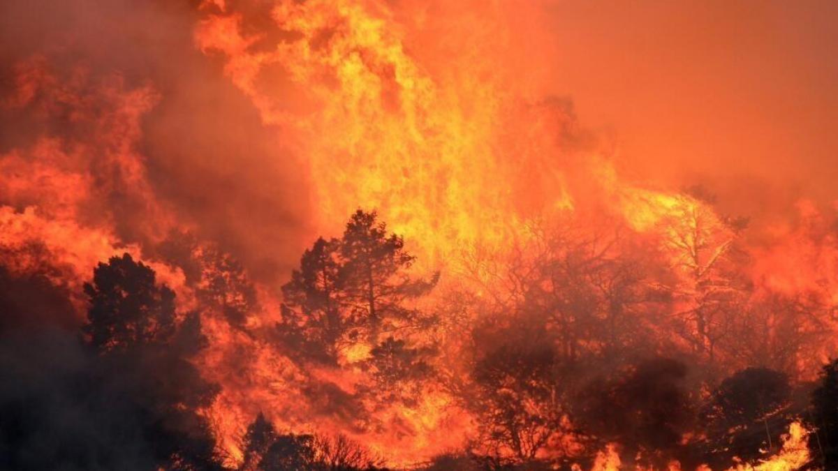 incendiu masiv de vegetatie in california 5 000 de hectare distruse in trei zile focul a scapat de