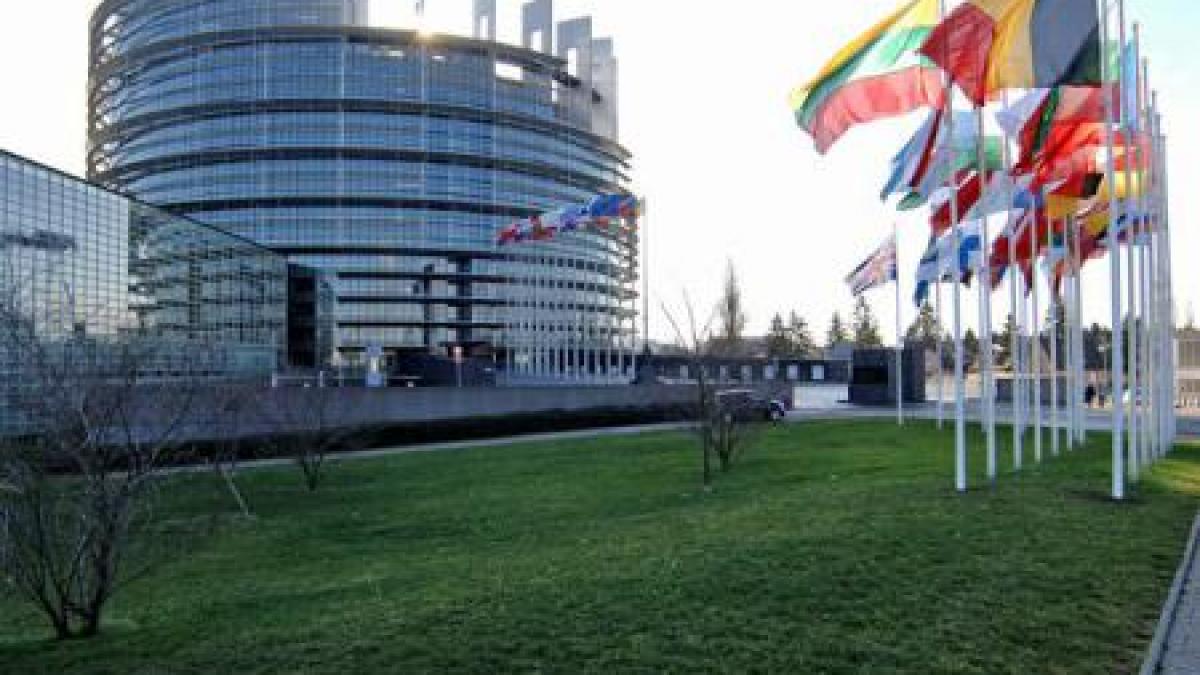 statul islamic eurodeputatii cer eforturi europene si internationale sporite pentru a stopa