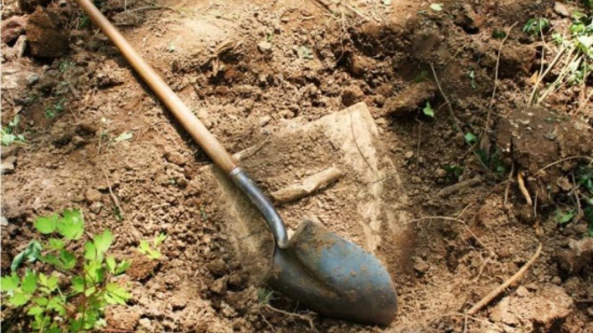 descoperire macabra in curtea unei familii din dambovita ce ingropase langa casa fiul unei femei