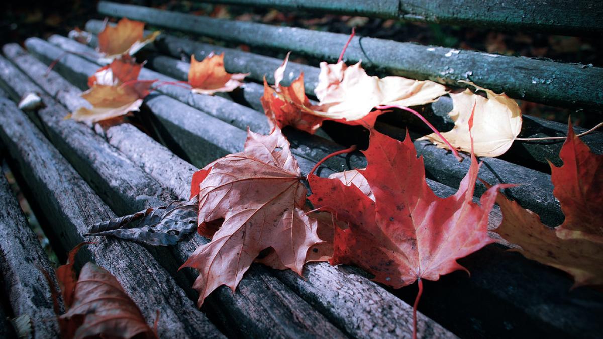 anuntul meteorologilor pentru intreaga romanie precipitatiile vor fi mixte iar temperaturile vor