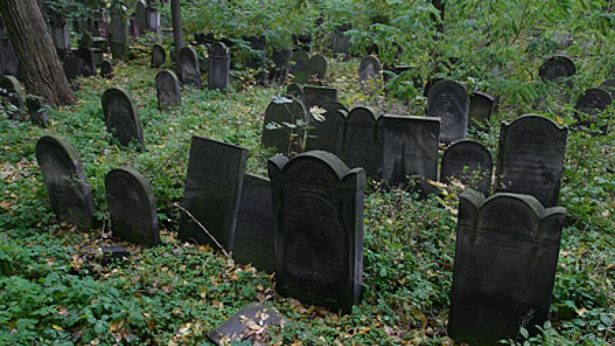 ce au gasit localnicii langa un cimitir este miracolul vietii autoritatile au inceput cautarile