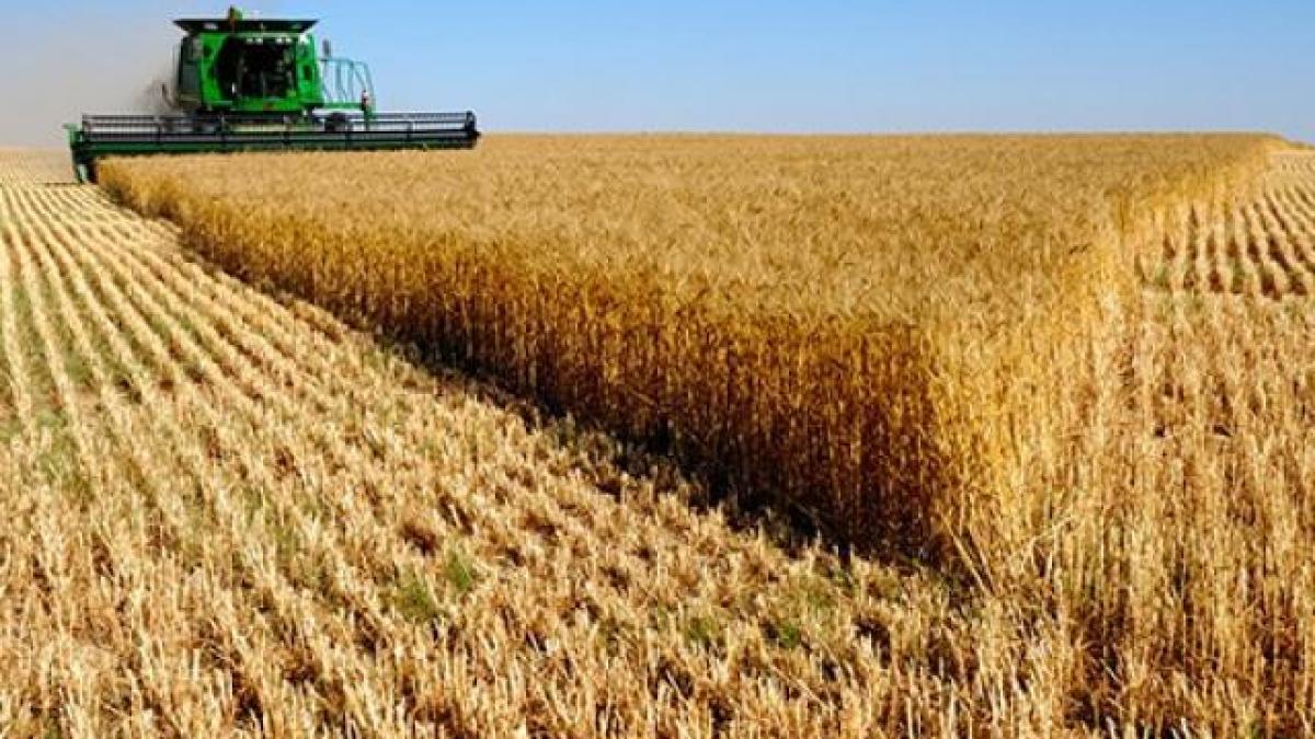 in cativa ani romania poate redeveni granarul europei vezi cine a facut aceasta declaratie