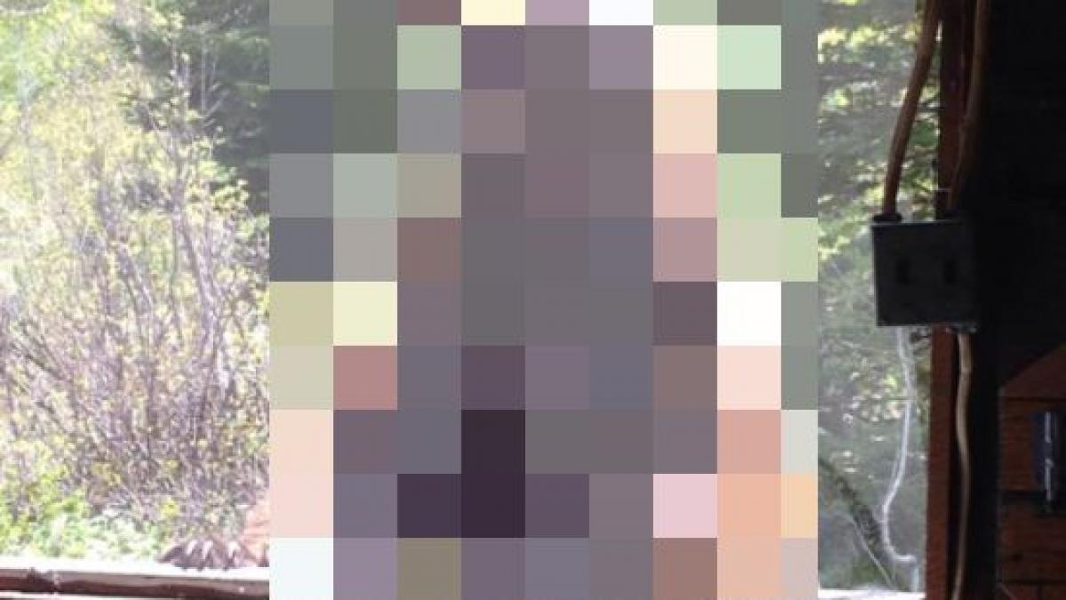 luau micul dejun dar au incremenit cand s au uitat pe fereastra am fost prizonieri in propria casa